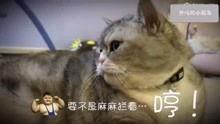 吃瓜搞怪沙雕视频大全,笑料横生！吃瓜搞怪沙雕视频大盘点
