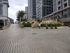 定州阳光尚都吃瓜视频,吃瓜群众揭秘社区生活百态