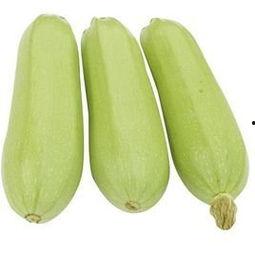 吃角瓜的好处和做法视频,美味做法一学就会