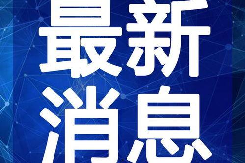 文山最新吃瓜事件视频,视频揭秘惊人真相