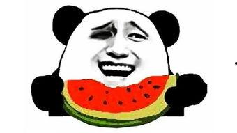 晚上回家吃瓜搞笑视频,晚间回家吃瓜搞笑视频大盘点