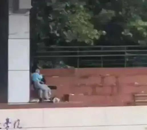 校园楼梯吃瓜视频原版,揭秘校园生活幕后趣闻