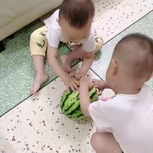 妈妈兄弟吃瓜视频大全,趣味视频大盘点