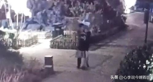 台风吃瓜视频完整版,惊心动魄的台风吃瓜视频全纪录