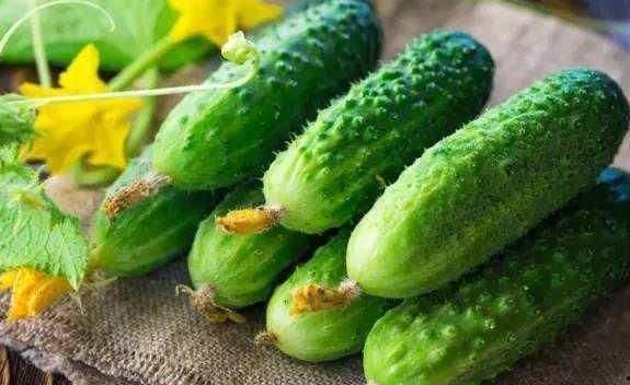 看吃瓜视频有什么危害